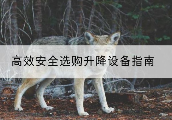 湛河升降货梯厂家推荐-*安全选购升降设备指南
