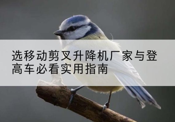 湛河电动升降机厂家-选移动剪叉升降机厂家与登高车必看实用指南