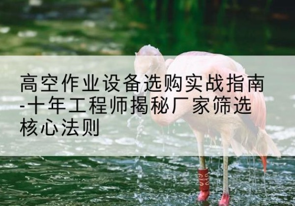 湛河剪叉式升降机厂家-高空作业设备选购实战指南-十年工程师揭秘厂家筛选核心法则